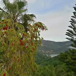 Casa Loureiro - Vista Rio Douro Villa