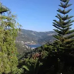 Casa Loureiro - Vista Rio Douro * Resende