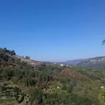 Casa Loureiro - Vista Rio Douro 雷森迪