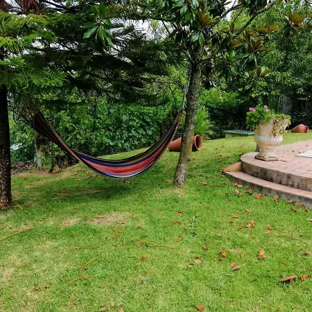 Casa Loureiro - Vista Rio Douro * Resende