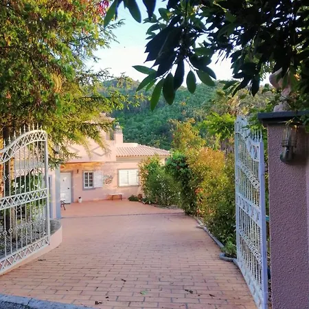 Villa Casa Loureiro - Vista Rio Douro