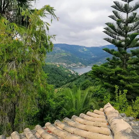 Casa Loureiro - Vista Rio Douro Resende