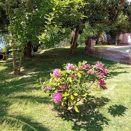 Villa Casa Loureiro - Vista Rio Douro *