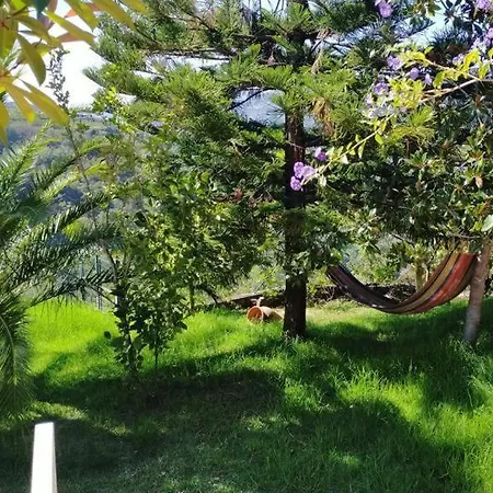 Villa Casa Loureiro - Vista Rio Douro
