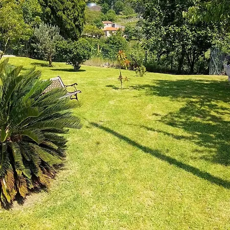 Villa Casa Loureiro - Vista Rio Douro Resende