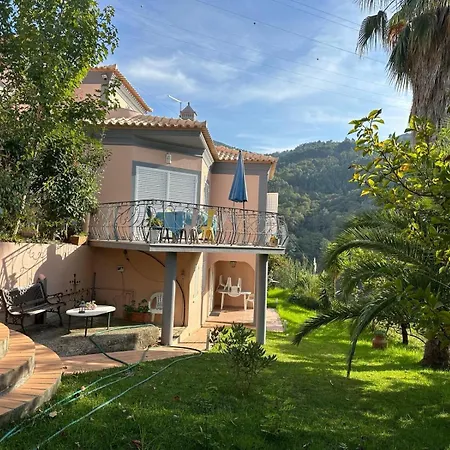 Casa Loureiro - Vista Rio Douro Resende