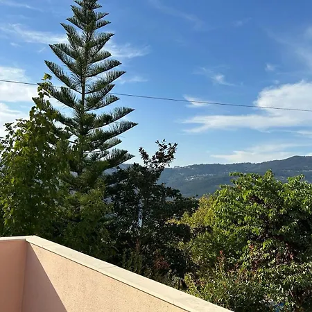 Villa Casa Loureiro - Vista Rio Douro Resende