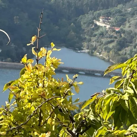Casa Loureiro - Vista Rio Douro *