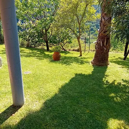 Villa Casa Loureiro - Vista Rio Douro Resende