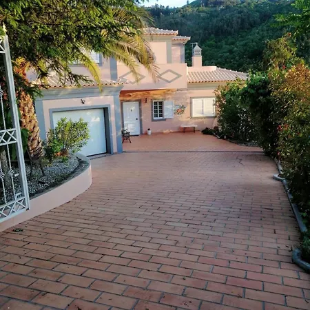 Casa Loureiro - Vista Rio Douro * Resende