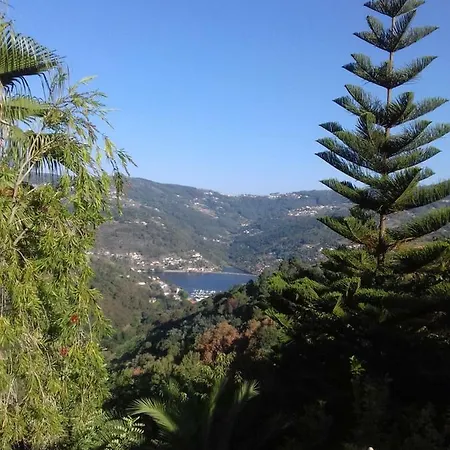 Casa Loureiro - Vista Rio Douro * Resende