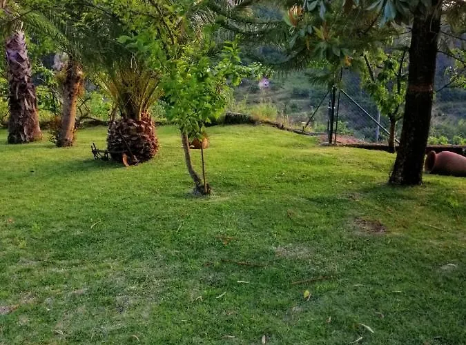 Villa Casa Loureiro - Vista Rio Douro *