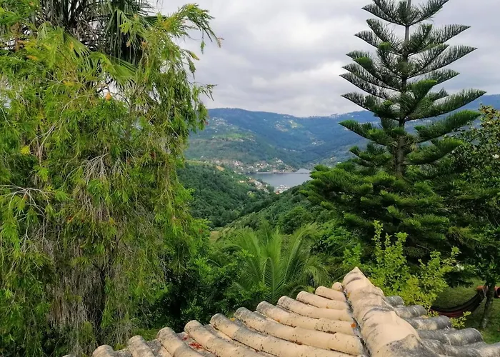 Casa Loureiro - Vista Rio Douro Resende