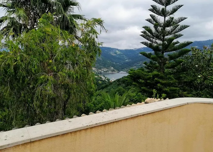 Casa Loureiro - Vista Rio Douro *